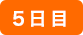 5日目